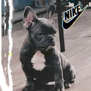 Meet your Posher, Jay